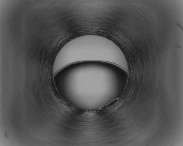 X0000093160280200709261042