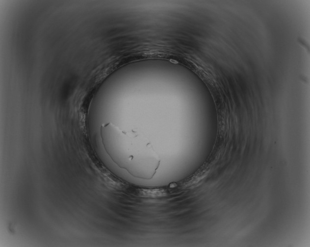 X0000093160281200709261042