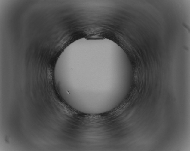 X0000093160282200709261042