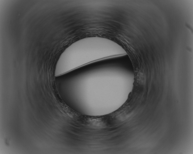 X0000093160283200709261042
