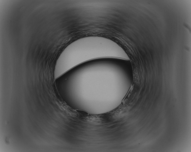 X0000093160284200709261042