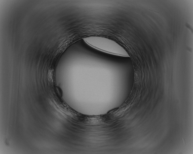 X0000093160286200709261042
