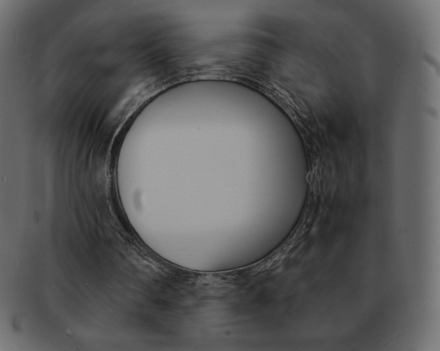 X0000093160290200709261041