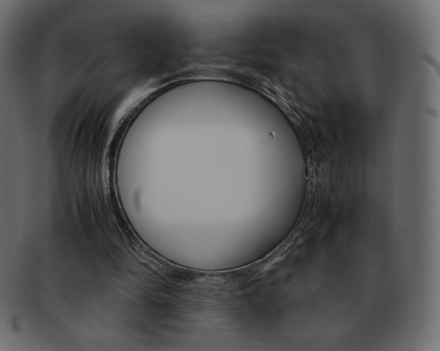 X0000093160294200709261041