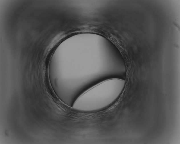 X0000093160295200709261041