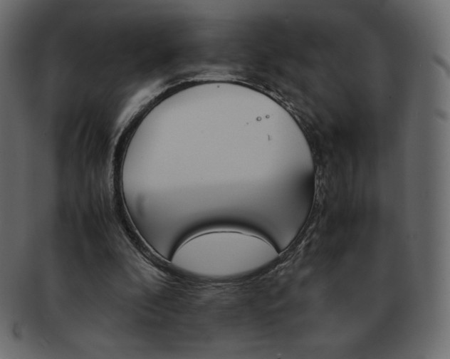 X0000093160296200709261041