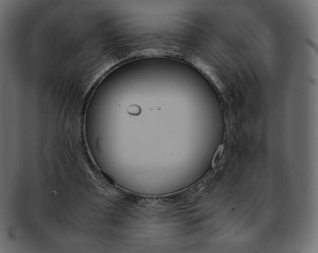 X0000093160297200709261041