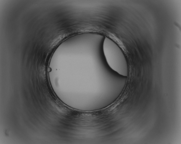 X0000093160298200709261041