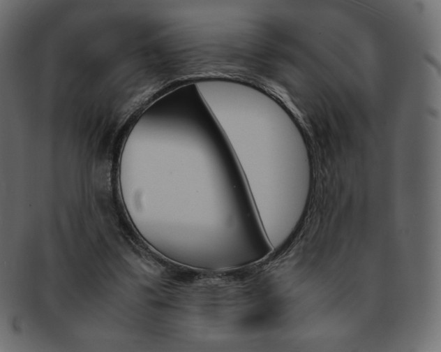 X0000093160299200709261041