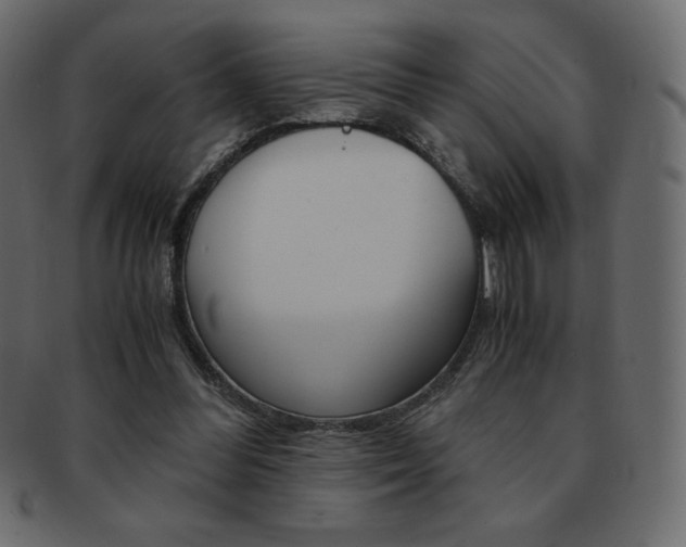 X0000093160300200709261041
