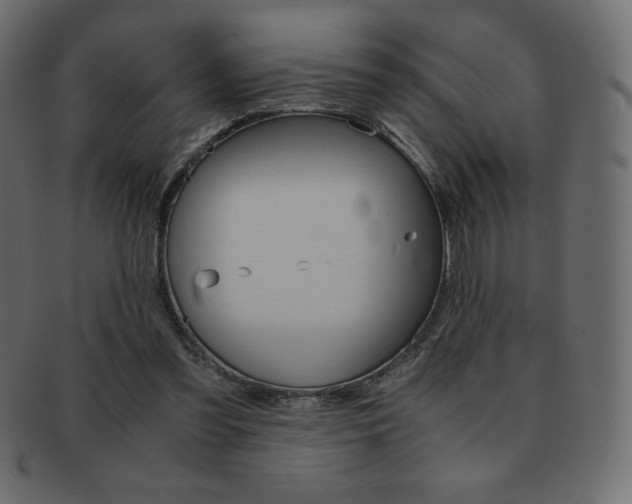 X0000093160301200709261041
