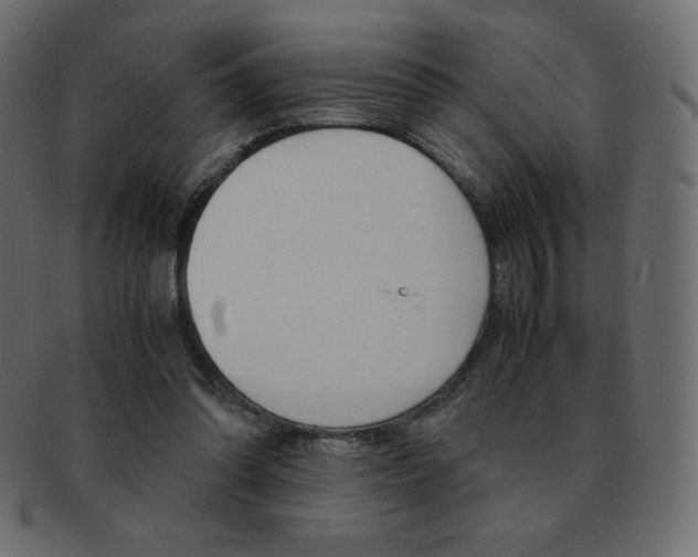X0000093160302200709261041