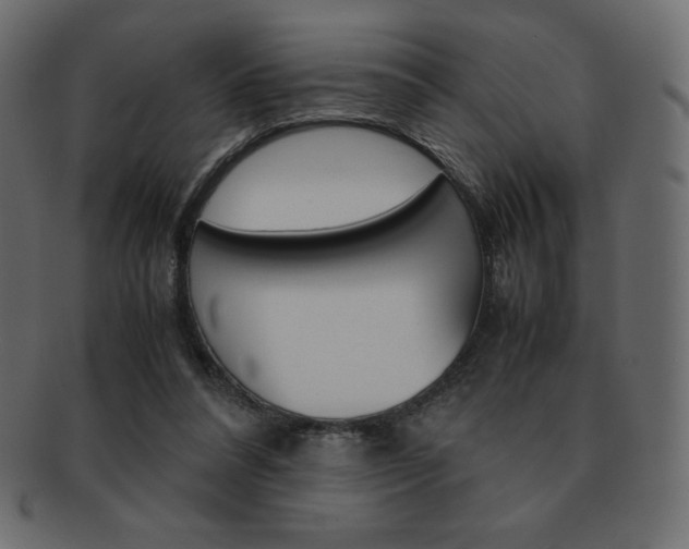 X0000093160304200709261041