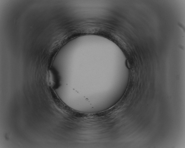 X0000093160307200709261041