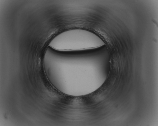 X0000093160308200709261041