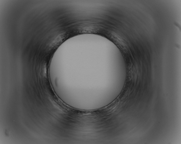 X0000093160310200709261041