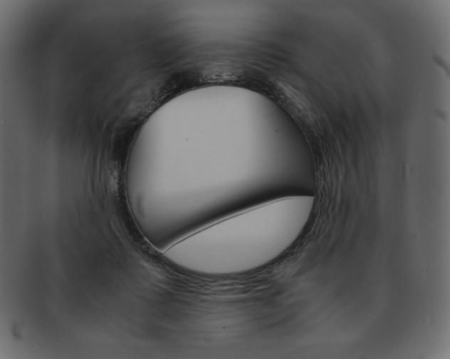 X0000093160315200709261041