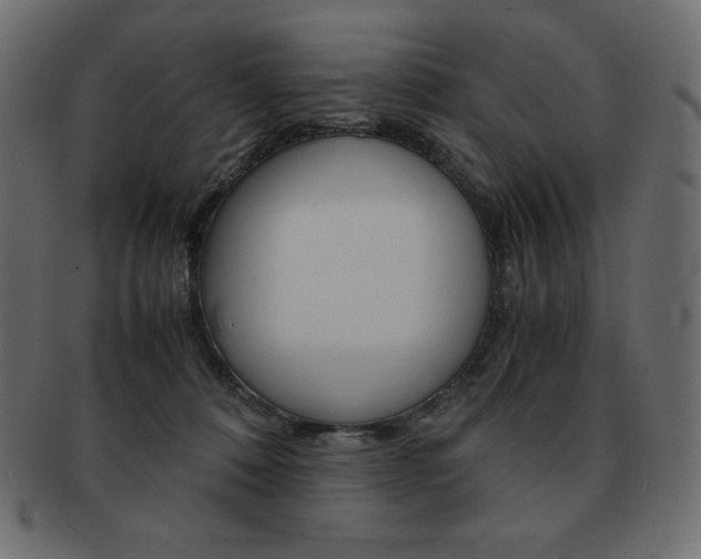 X0000093160320200709261041