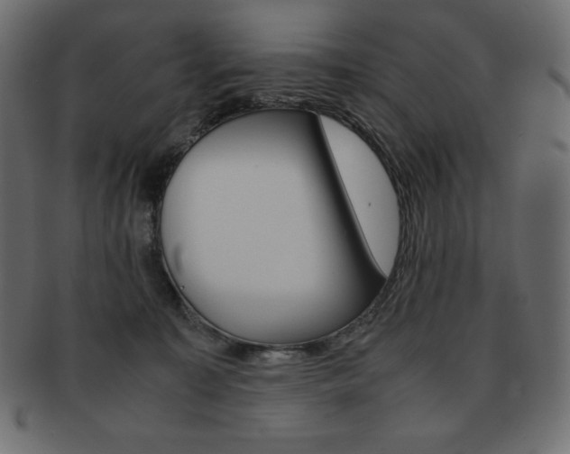 X0000093160323200709261041