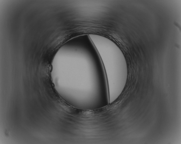X0000093160325200709261041