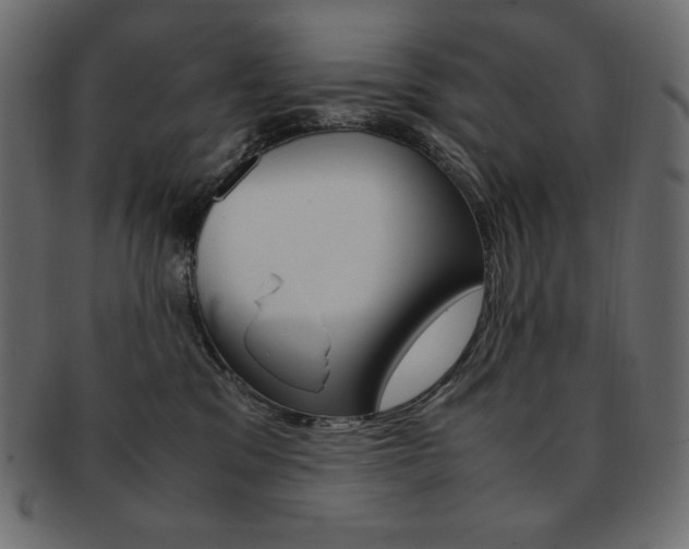 X0000093160329200709261040