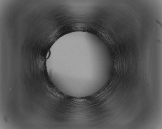 X0000093160332200709261040