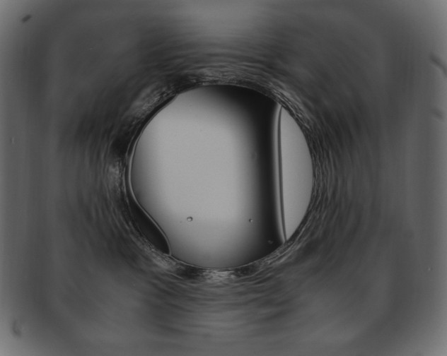 X0000093160333200709261040