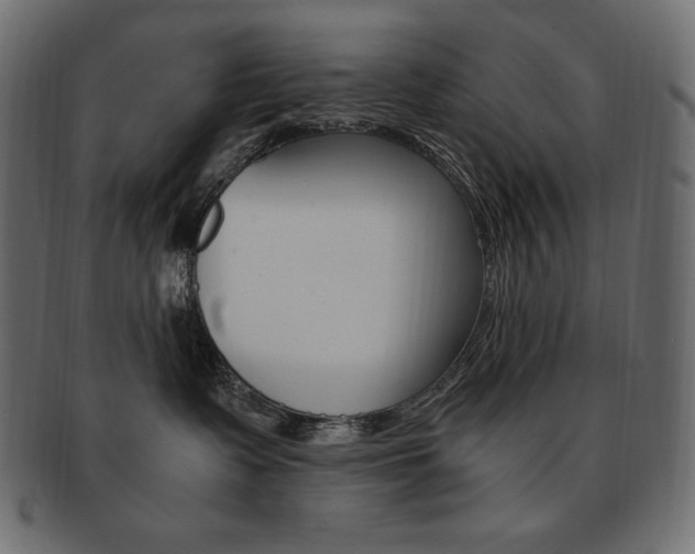 X0000093160335200709261040