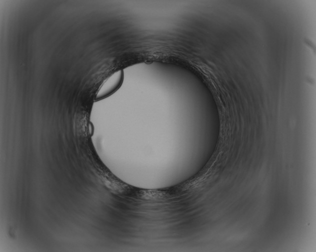 X0000093160336200709261040