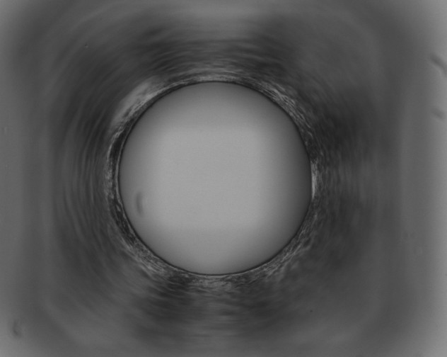 X0000093160339200709261040