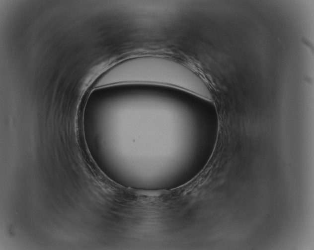 X0000093160340200709261040