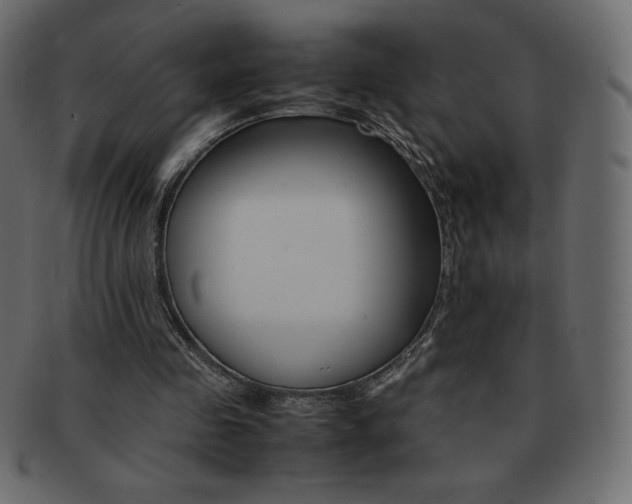 X0000093160341200709261040