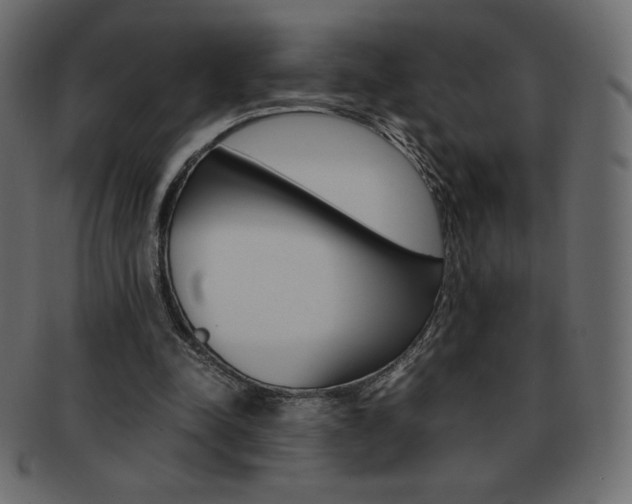 X0000093160342200709261040