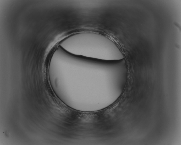 X0000093160343200709261040