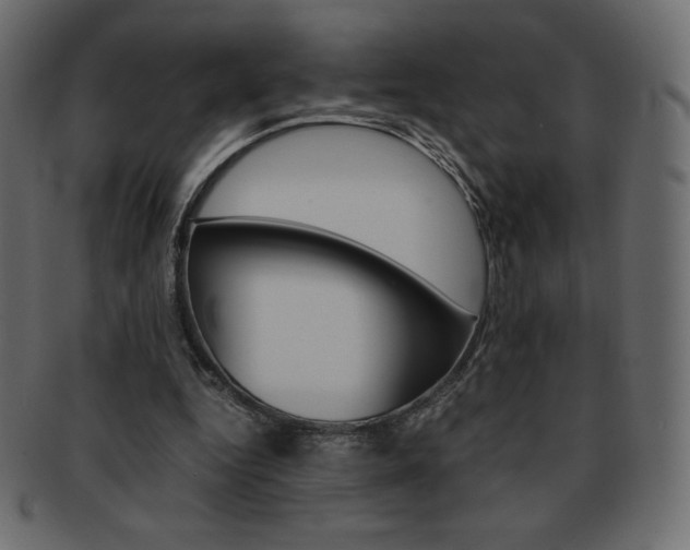 X0000093160344200709261040