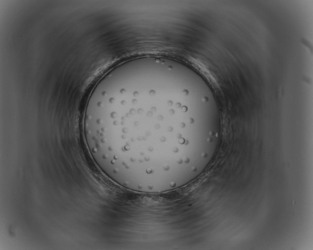 X0000093160346200709261040