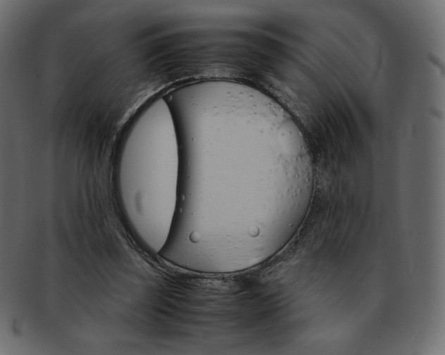 X0000093160347200709261040