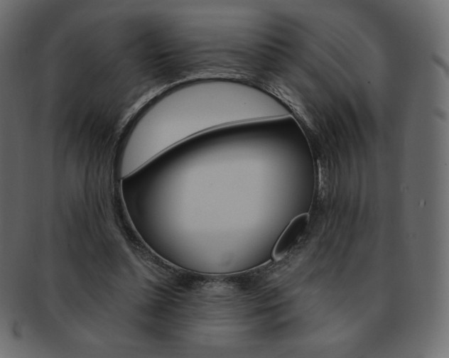 X0000093160348200709261040