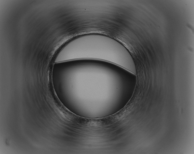 X0000093160350200709261040