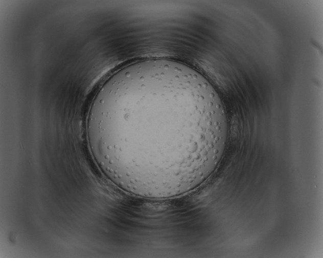 X0000093160351200709261040