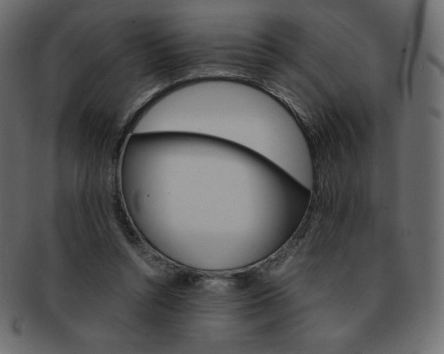 X0000093160352200709261040