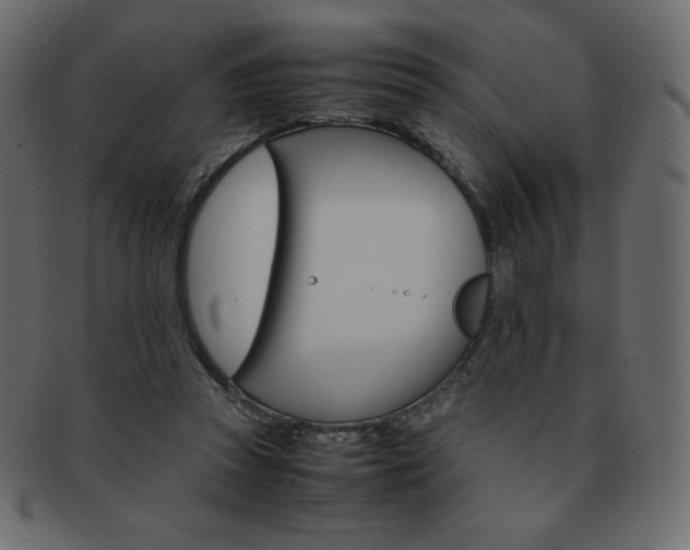 X0000093160353200709261040