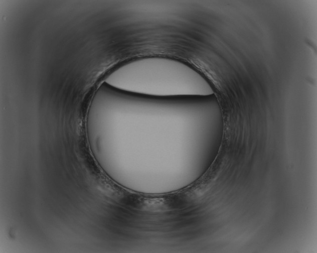 X0000093160355200709261040