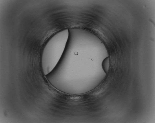 X0000093160357200709261040