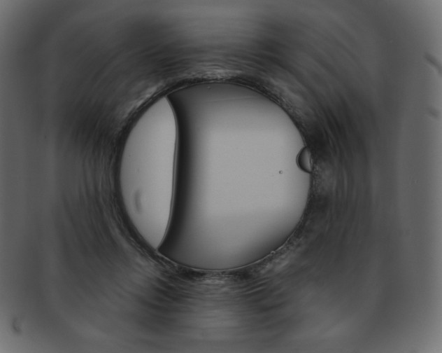 X0000093160358200709261040