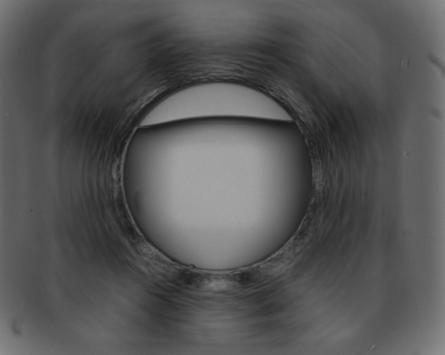 X0000093160360200709261040