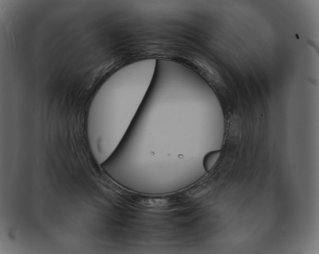 X0000093160361200709261040