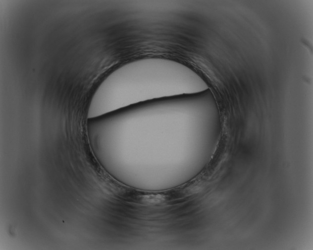 X0000093160363200709261040