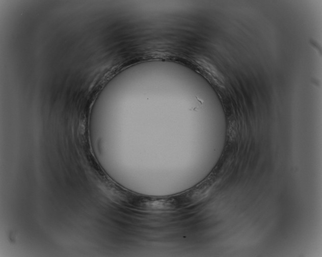 X0000093160365200709261040