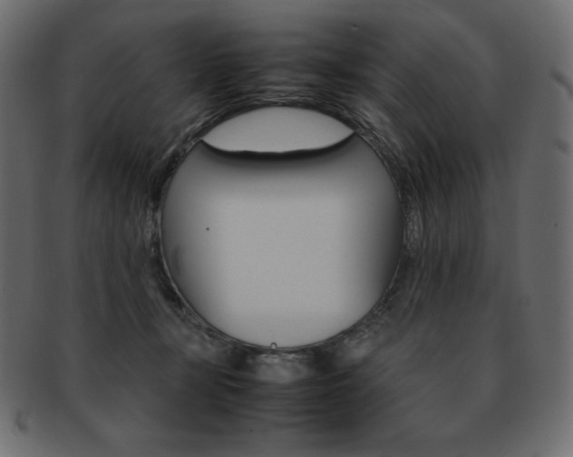 X0000093160367200709261040